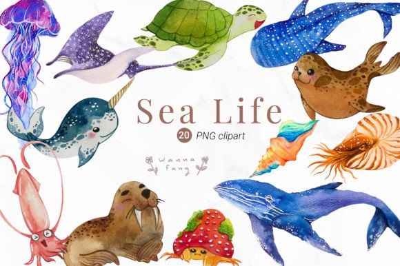 Download Watercolor Sea Life Clipart, PNG - Sea life Collection