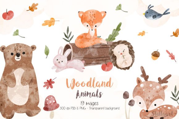 Download Watercolor Woodland Animals - Watercolor woodland animals Collection