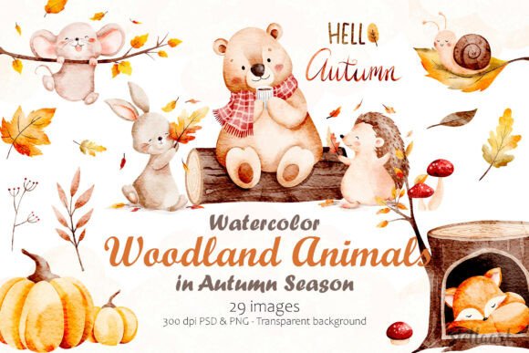 Download Watercolor Woodland Animals in Autumn - Watercolor woodland animals Collection