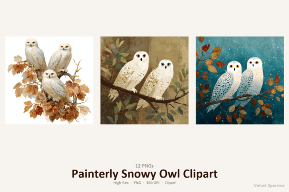 Download Painterly Snowy Owl Clipart - Owl Collection