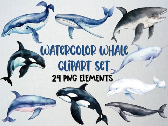 Download Watercolor Whale Clipart Set, Sea Life - Sea life Collection